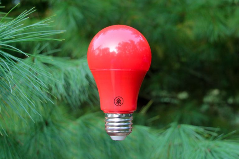 Red Light Bulb 5w Midwest Red Light Therapy